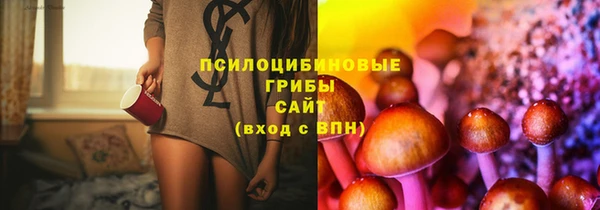 индика Семикаракорск