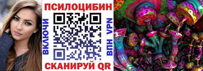 наркотики  Зеленодольск  Галлюциногенные грибы Psilocybine cubensis 